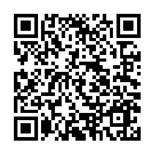 然后拿着那块沾了自己汗水的手帕不知道怎么办才好二维码生成