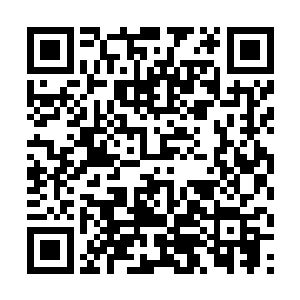 然后拿过笔跟大哥一起继续商量家里家庭会议的事情二维码生成