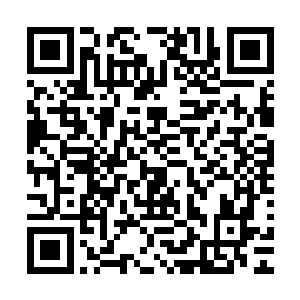 然后指了一下药田旁边的一座通体宛若白玉一般的阁楼开口道二维码生成