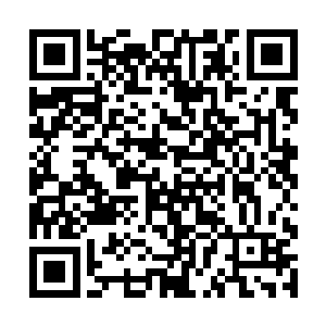 然后按在那对几乎是所有男人都想要触摸的柔软之上二维码生成