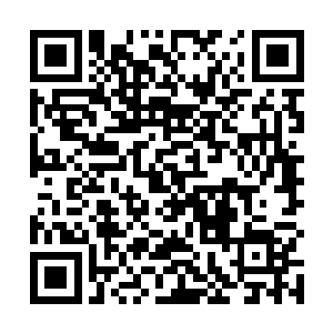 然后接着就是一个八岁的娃子掉进后山的小溪里淹死了二维码生成