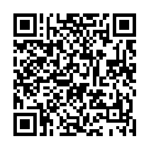 然后控制世界树叶子直接朝黄衣女子指出的方向急速飞去二维码生成