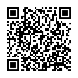 然后控制魂识凝聚的凤凰一一将十七种早已经提炼而出的材料二维码生成