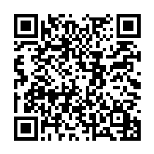然后握着许紫烟的手将自己体内的仙元力输送进去二维码生成