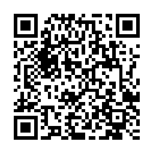然后搭配外貌出众或者舞蹈出众或者口才出众等其他方面有亮点二维码生成