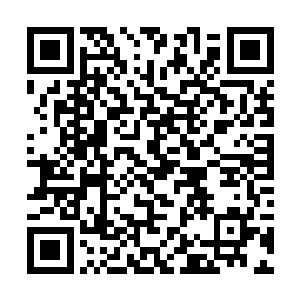 然后撒旦的人很快就全都赶到了充当会议室的房间里二维码生成