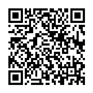 然后放话要和高二的琳琅他们在校外打群架的事都给校长说了二维码生成