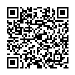 然后整个人不顾一切的就朝着那一个九级的蜘蛛魔冲了过去……二维码生成