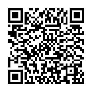 然后整个白晶院还有旁边相连的火晶院顿时崩碎二维码生成