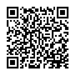 然后旋风般便到了正扛着一只大肥猪往前跑的那个的汉子面前二维码生成