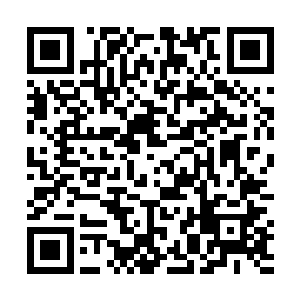 然后无数的摄像机镜头和录音机都对准了车窗中的面孔二维码生成