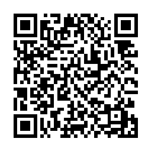 然后是世界上最大的情报网络内部发生了你死我活的内斗二维码生成