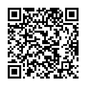 然后是扛着小威尔的轮胎……还有乔乔秀秀……其他队员二维码生成