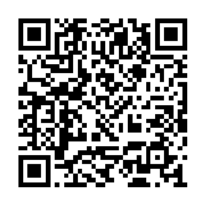 然后是熟悉又陌生的姑侄相认热泪盈眶的名场面二维码生成
