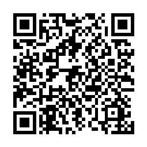 然后是露易丝――这是一个浑身都笼罩在黑色纱巾下的女性二维码生成