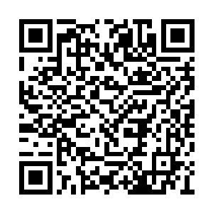 然后果然就从旁边的树干上看到一块剥落的树皮二维码生成