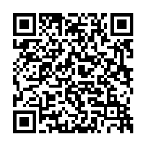 然后正当大家认为她的元力消耗得差不多的时候二维码生成