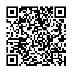 然后每天一睁开眼睛就可以看到一大堆不用钱的筹码二维码生成