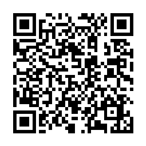 然后每天为了这些一辈子的梦想而不断地去努力拼搏着二维码生成
