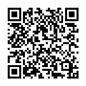 然后每次都在几乎快选定的时候被柳乘风趁机抢走二维码生成