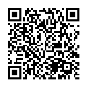 然后没有丝毫的分说直接将手放到了小男孩的肩膀上二维码生成