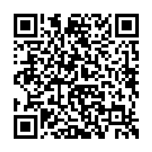 然后灵体自己还不忘把树上的肉丝拿出来吞下去二维码生成