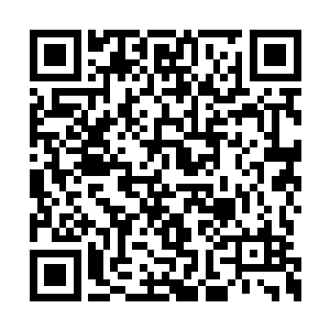 然后狠狠的朝着下方的那些血狱怪物的身上拍去二维码生成