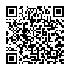 然后现在……这个败家媳妇把自己的儿子托付给了另一个男人二维码生成