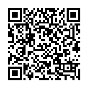然后用看白痴一般的目光扫了一眼那两个地尊后期二维码生成
