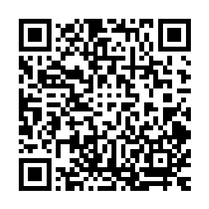 然后用自己的积分丹和建设值做了一些基本完善……杯水车薪二维码生成