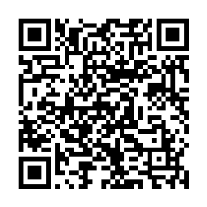 然后用融合了赤血玄参的血液精华涂抹在南宫流云身上二维码生成