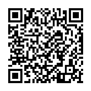 然后用这些一品符宝将紫烟空间内的各种符阵列二维码生成