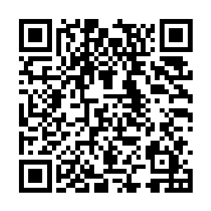 然后电话又从老人家手中传到了自家两小娃子手上二维码生成