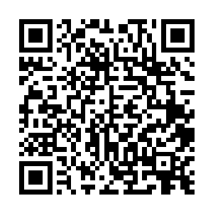 然后目光便落在被三名执法长老抓在手里的剑尘三人身上二维码生成
