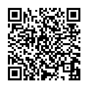 然后直接化作一道流光瞬间没入到了虚空之中的焚天圣莲上面二维码生成