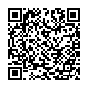 然后直接开出了一个可以令大学毕业生都心动的待遇二维码生成