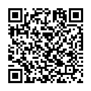 然后盾牌中央的那个鬼王符印开始慢慢的发出了微光二维码生成