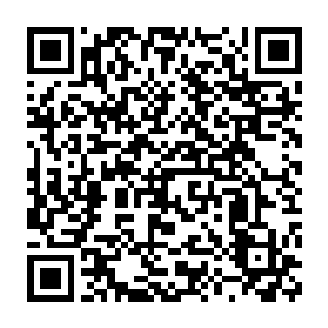 然后看了一下魔兽小弟的修炼情况后就找了个地方盘腿坐下研究起来二维码生成