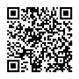 然后看着储物袋突然发现那储物袋竟然自己打开了二维码生成