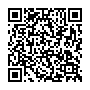 然后看着眼前的陆爷爷缓缓地在她面前倒下……二维码生成