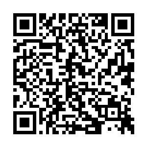 然后看起来已经非常疲劳的逗逗居然开始加速了二维码生成