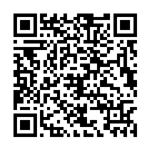 然后看这些贻贝在淡盐水里微微地吐着泡泡的时候二维码生成