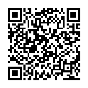 然后眼巴巴的瞅着他们身前一个满头银发的老头二维码生成