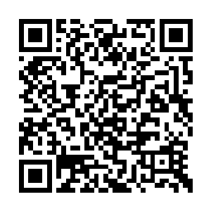 然后眼帘之中就看见了一只飞快变大的拳头……二维码生成