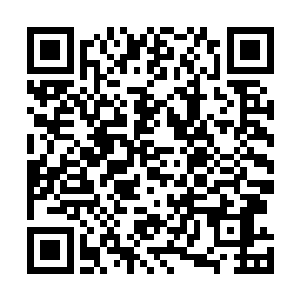 然后瞬间操控金玄战傀将目光对准了虚空之中的血僵魔胎二维码生成