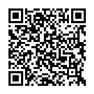 然后瞬间消失……待他们看清楚两架机甲的时候二维码生成