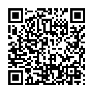 然后确定了他们躲藏的位置应该就是不远处的小坡二维码生成