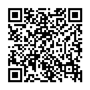 然后穆扬灵就赶着骡子和它拉的板车正式开始了收购的旅程二维码生成