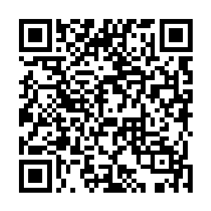 然后突然各自祭起一柄血腥味极浓的带着恐怖鬼脸的旗子二维码生成