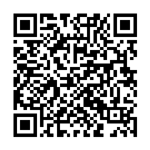 然后突然想到了什么跑到那群失去意识的男人身旁蹲下二维码生成